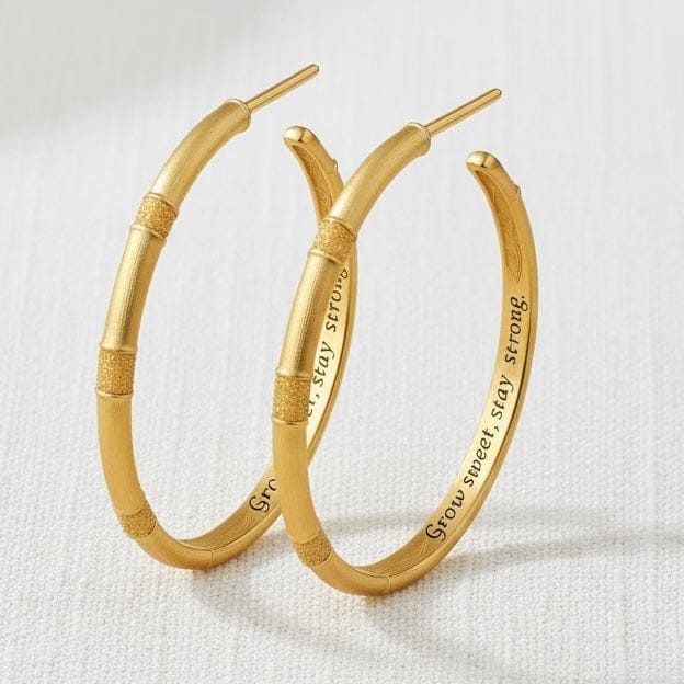 Alliyette Earrings Gold Sugá Large Crystal Hoops 18k sterling vermeil demi-fine jewelry