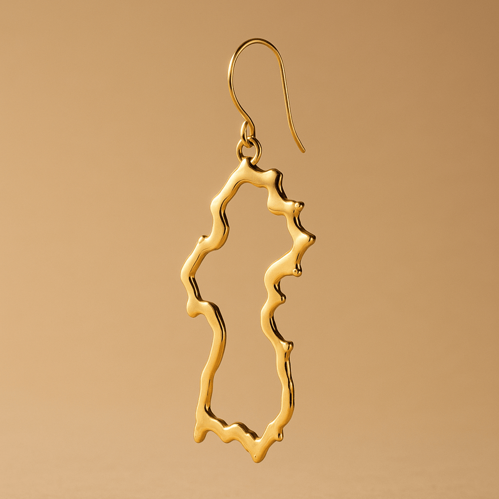 Alliyette Earrings Guyana Beaded Reversible Map Earring 18k sterling vermeil demi-fine jewelry