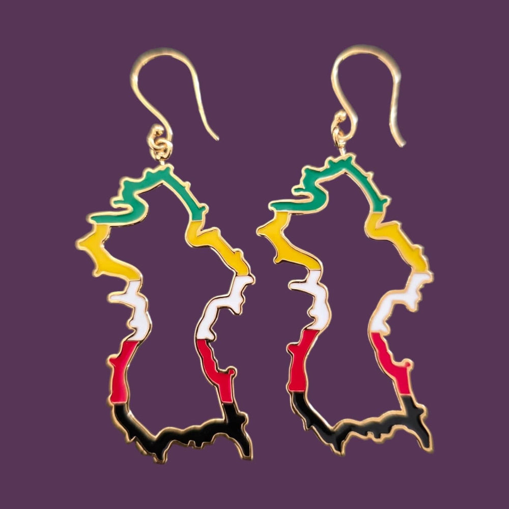 Alliyette Earrings Guyana Reversible Map Earring 18k sterling vermeil demi-fine jewelry