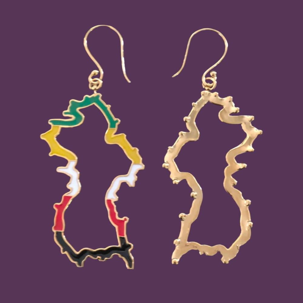 Alliyette Earrings Guyana Reversible Map Earring 18k sterling vermeil demi-fine jewelry