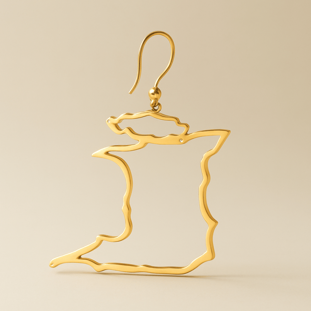 Alliyette  Earrings Trinidad & Tobago Reversible Map Earring 18k sterling vermeil demi-fine jewelry