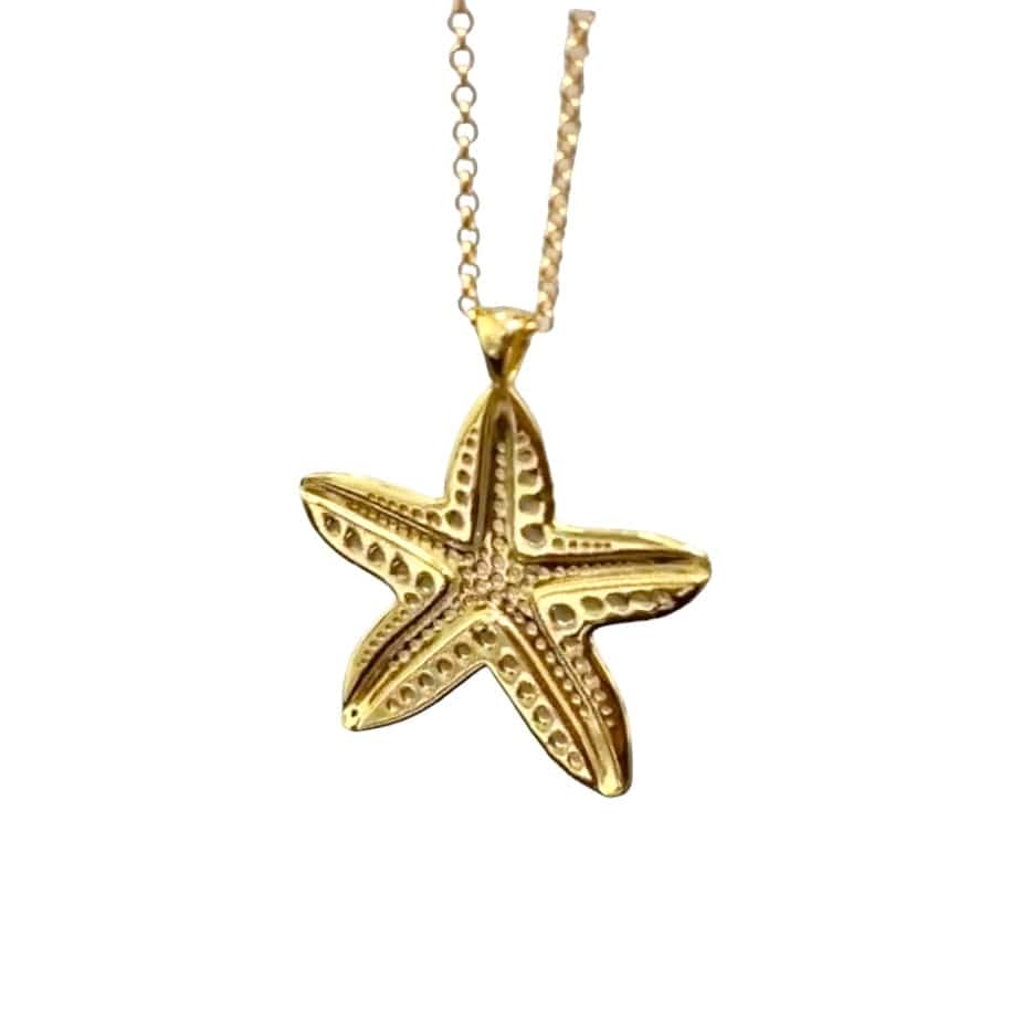 Alliyette Necklace The Five Armed Starfish Gemstone Necklace 18k sterling vermeil demi-fine jewelry