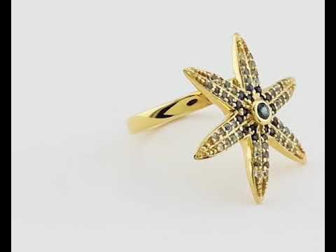 
            
                Load and play video in Gallery viewer, Six-Armed Starfish Gemstone Ring
            
        